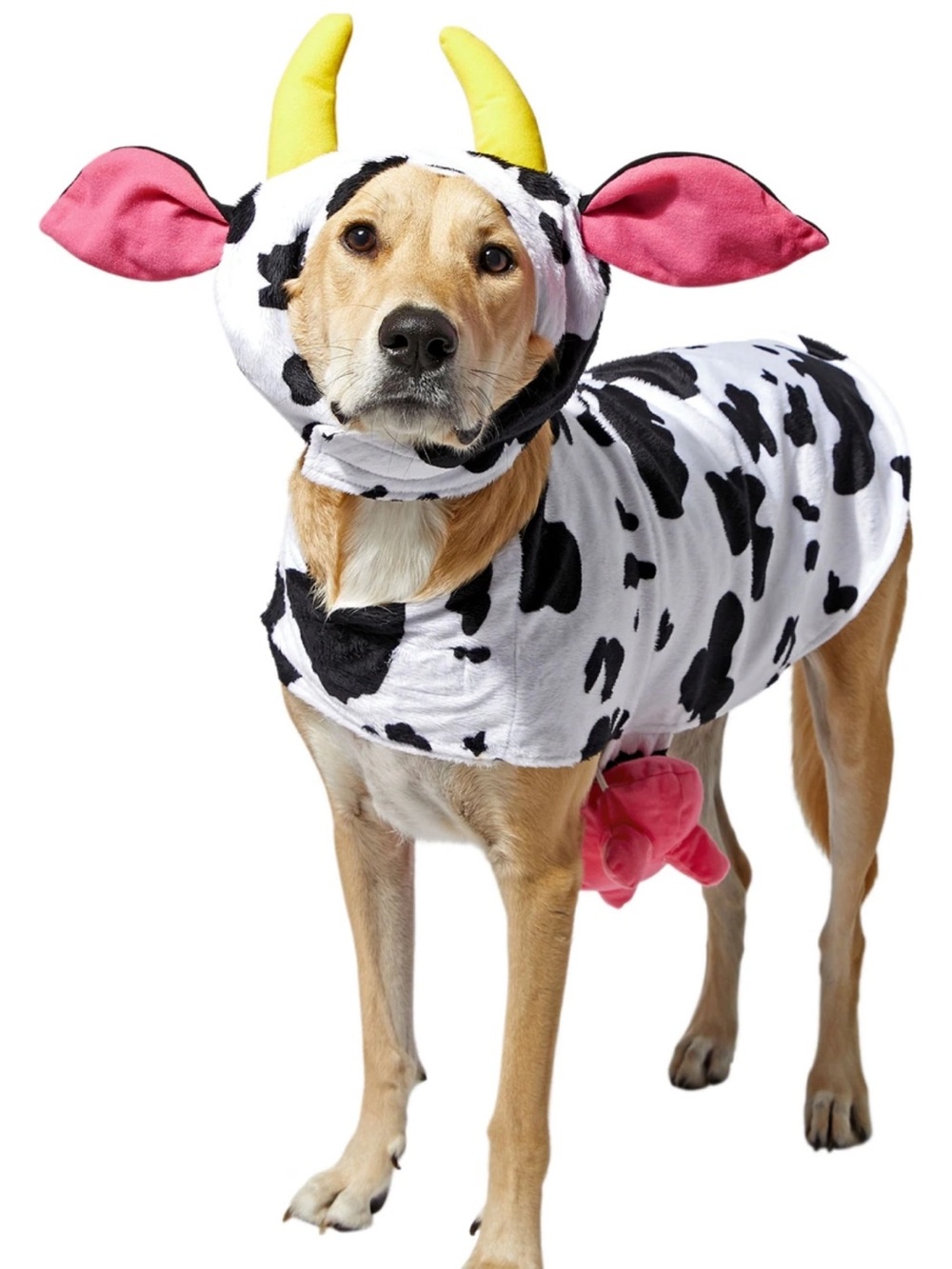 NWT Frisco Cow Dog Costume XXX-Large